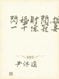 闪婚财阀,总裁一千亿宠妻