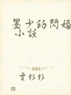墨少的闪婚秘爱 小说