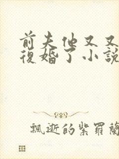前夫他又又又想复婚了小说