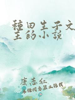 种田生子文双男主的小说