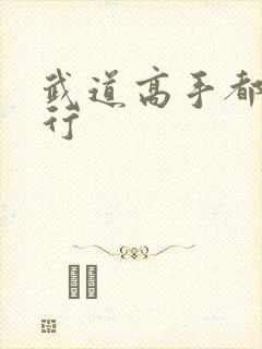 武道高手都市之行
