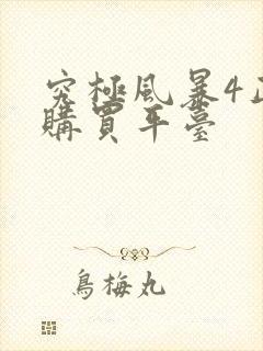 究极风暴4正版购买平台