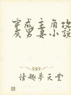 穿成主角攻的炮灰男妻小说