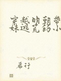 穿越明朝带着妹妹逃荒的小说