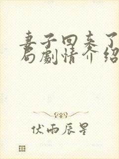 妻子回来了大结局剧情介绍