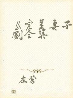 《完美妻子》短剧全集