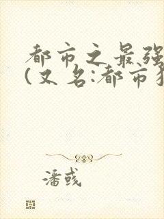 都市之最强狂兵(又名:都市狂枭) 大红大紫