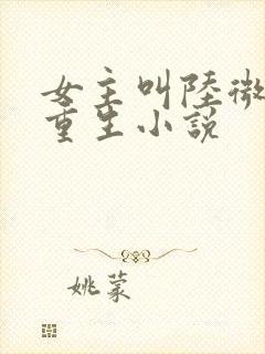 女主叫陆微微的重生小说