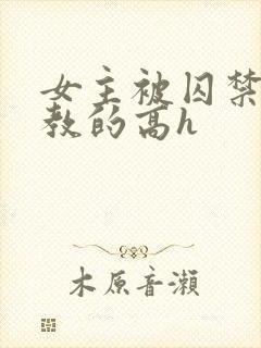 女主被囚禁后调教的高h