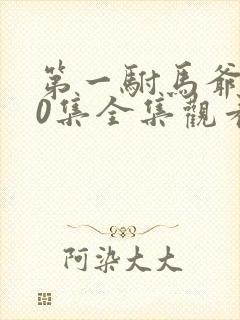 第一驸马爷100集全集观看