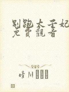 别跑太子妃短剧免费观看