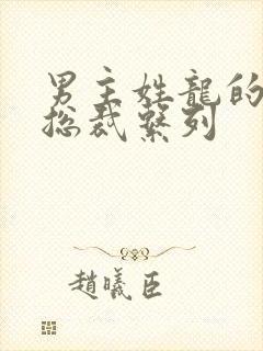 男主姓龙的豪门总裁系列