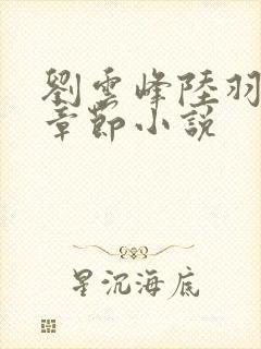 刘云峰陆羽最新章节小说