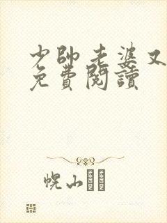 少帅老婆又跑了免费阅读