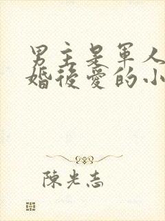 男主是军人的先婚后爱的小说