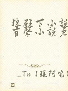 狼殿下小说原版有声小说免费