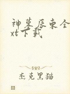 神墓辰东全本txt下载
