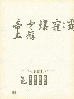 帝少爆宠:霸妻上瘾