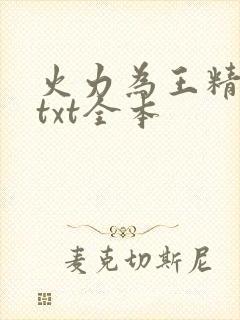 火力为王精校版txt全本