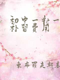 初中一对一数学补习费用