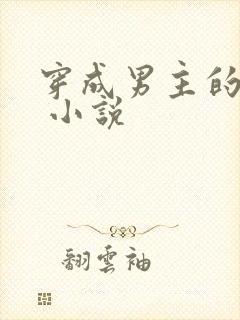 穿成男主的后妈 小说