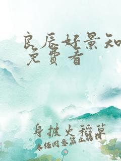 良辰好景知几何 免费看