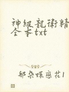 神级龙卫精校版全本txt