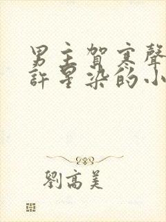 男主贺寒声女主许星染的小说