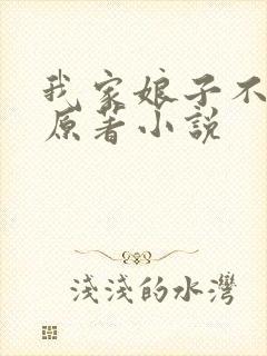 我家娘子不对劲原著小说
