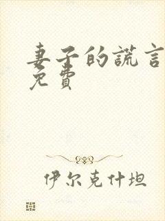 妻子的谎言全集免费