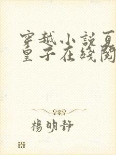 穿越小说夏天九皇子在线阅读