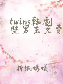twins韩剧双男主免费观看