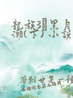 龙族3·黑月之潮(下) 小说笔趣阁