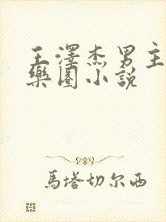 王泽杰男主的娱乐圈小说