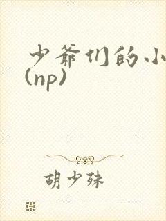 少爷们的小女仆(np)