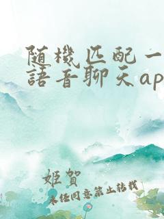 随机匹配一对一语音聊天app