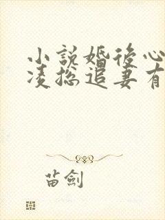 小说婚后心动:凌总追妻有点甜全集