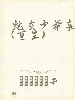 炮灰少爷来逆袭(重生)