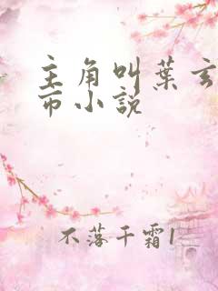 主角叫叶玄的都市小说