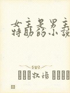 女主是男主首席特助的小说