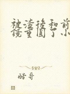 被渣后和前夫破镜重圆了小说