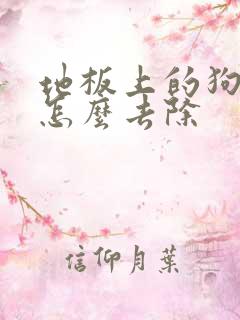 地板上的狗尿味怎么去除