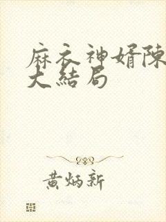 麻衣神婿陈黄皮大结局