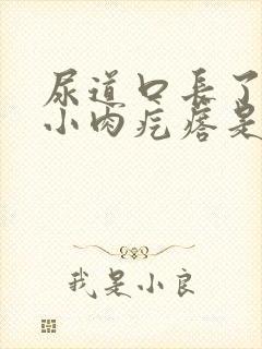 尿道口长了一个小肉疙瘩是怎么治疗