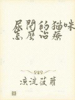 尿闭的猫咪在家怎么治疗