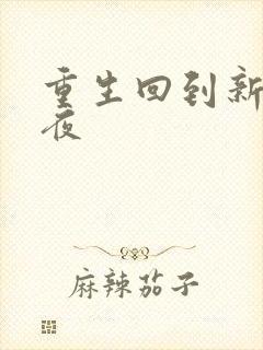 重生回到新婚之夜