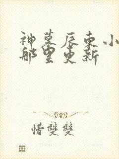 神墓辰东小说在那里更新