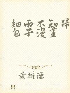 细雨不知归漫画包子漫画