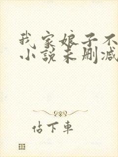 我家娘子不对劲小说未删减版