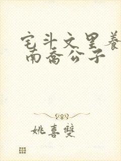 宅斗文里养夫郎 南乔公子